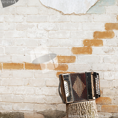 Image of accordion on the stump