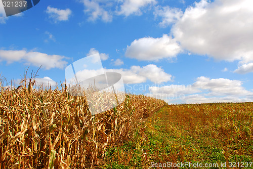 Image of Rural landscape