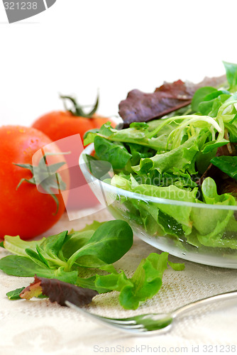 Image of Baby greens and tomatoes