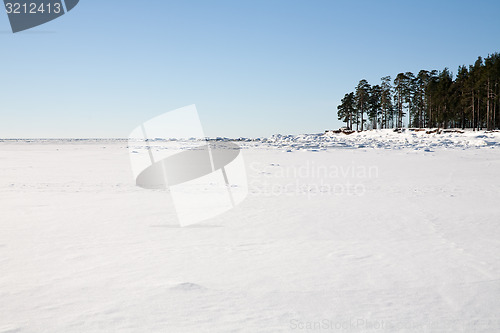 Image of snow field