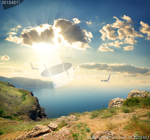 Image of Seagulls over rocks by sea