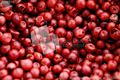 Image of Pink Pepper