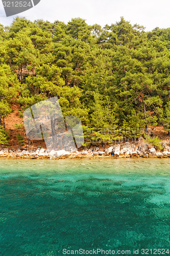Image of Green island