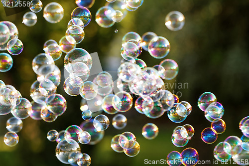 Image of Soap bubbles