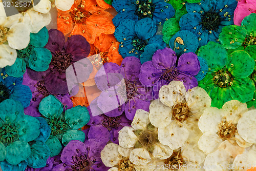 Image of Decorative montage compilation of colorful dried spring flowers