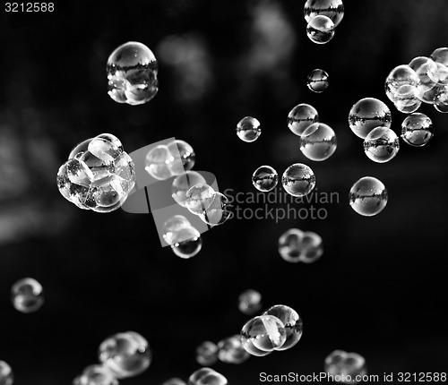 Image of Soap bubbles