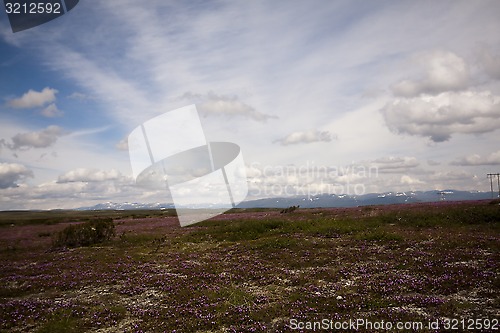 Image of on top of the mountain