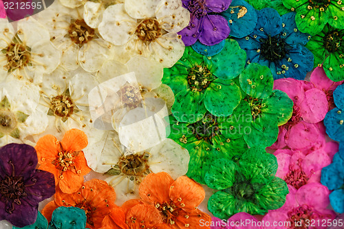 Image of Decorative montage compilation of colorful dried spring flowers