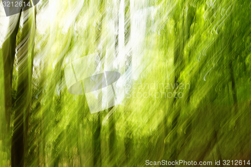 Image of Blurred trees background