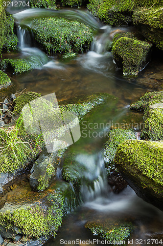 Image of Flowing stream and mossy stones