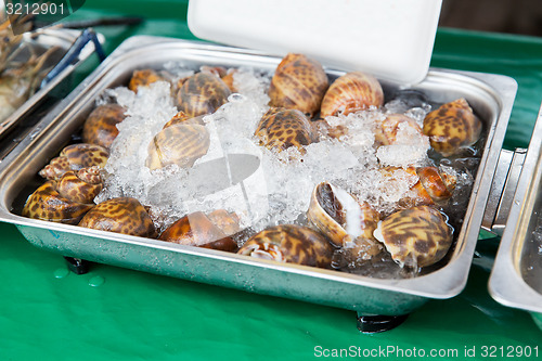 Image of snails or seafood on ice at asian street market