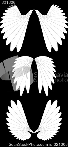 Image of Angel wings