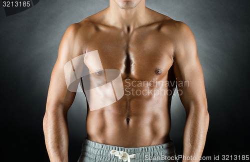 Image of young male bodybuilder
