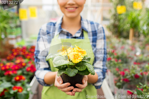 Image of close up of woman holding flowers in greenhouse