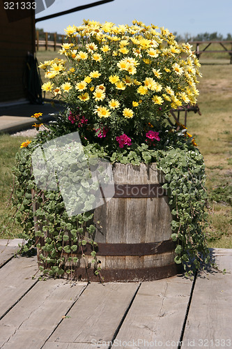Image of Flower decoration