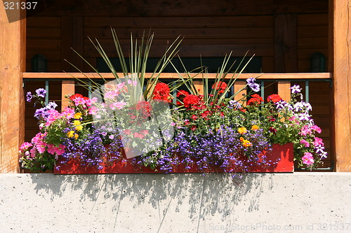 Image of Flowers on balcony