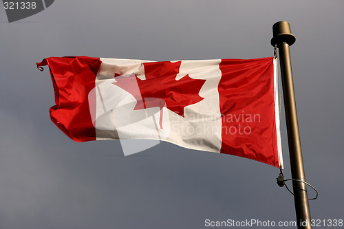 Image of Canadian flag in the wind