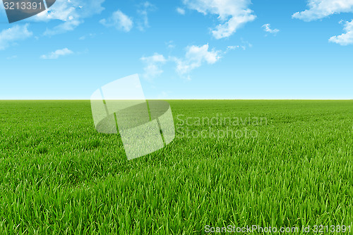 Image of Sky and grass background
