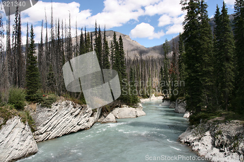 Image of Kootenay National Park