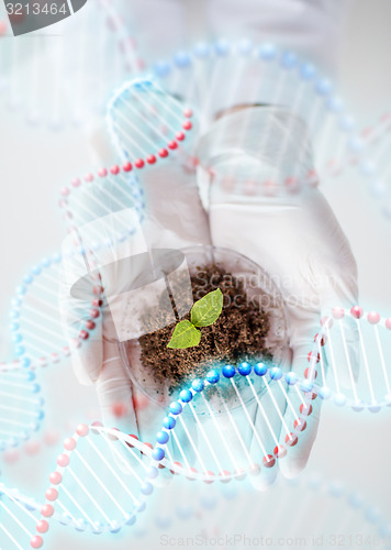 Image of close up of scientist hands with plant and soil