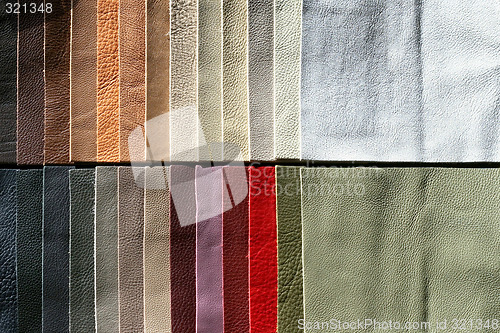Image of Leather sampler