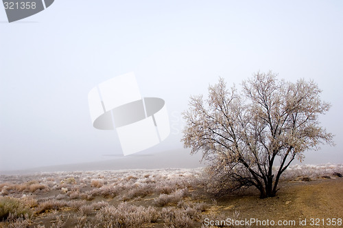 Image of Winter season