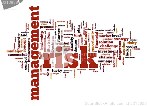 Image of Management risk word cloud with white background