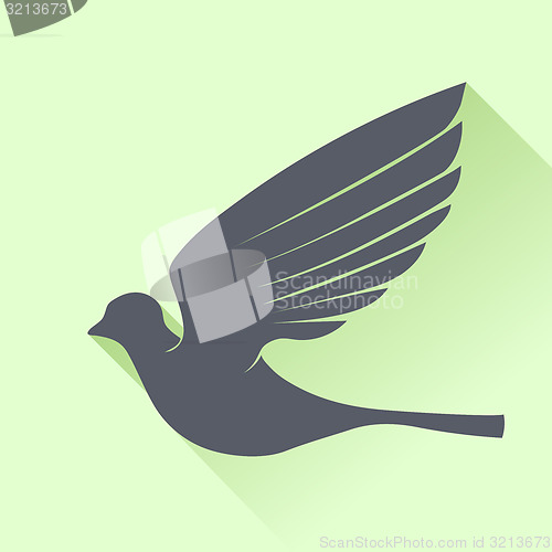 Image of Grey Bird