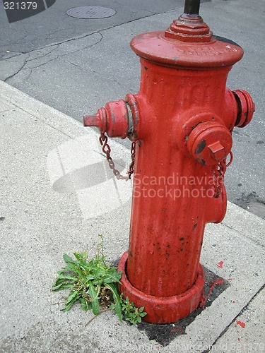 Image of Fire Hydrant