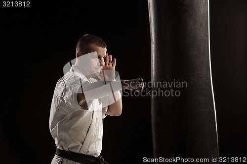 Image of Karate kick in a punching bag