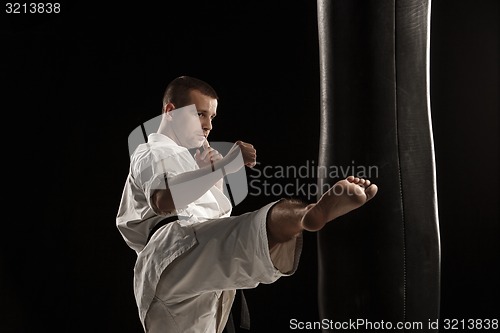 Image of Karate round kick in a punching bag