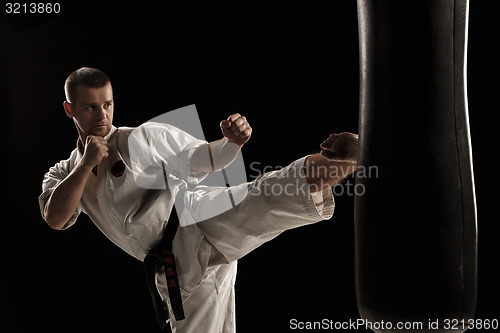 Image of Karate round kick in a punching bag