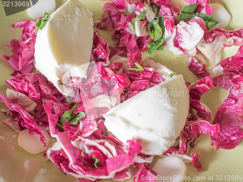Image of Lettuce salad