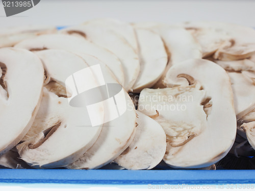 Image of Champignon mushroom