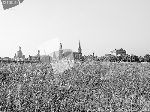 Image of  Dresden Hofkirche 