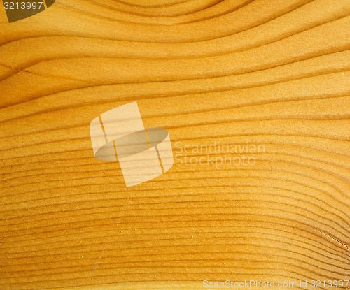 Image of Brown larch wood background