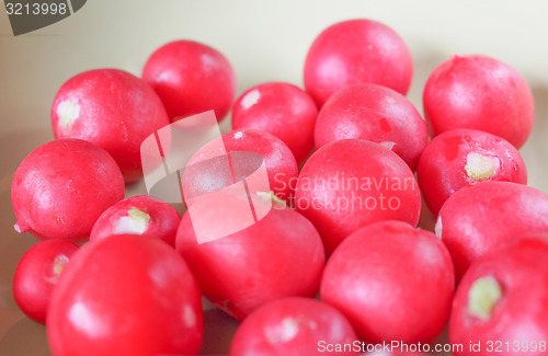 Image of Radish vegetable 
