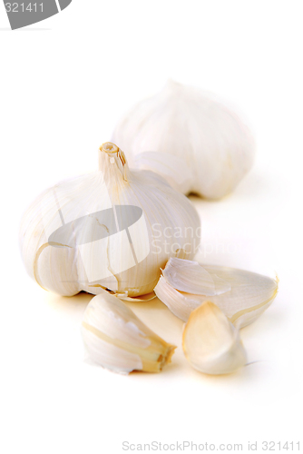 Image of Garlic