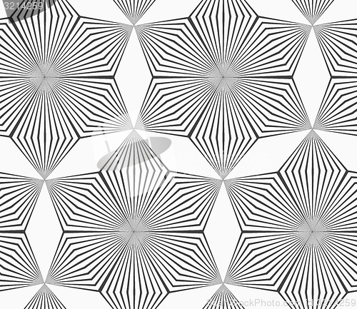 Image of Monochrome gray striped six pedal rhombus flowers