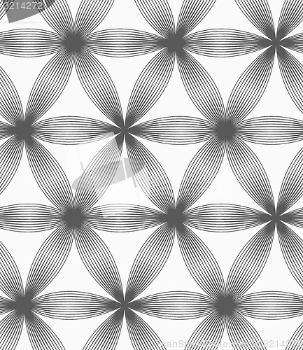 Image of Monochrome linear striped six pedal flowers