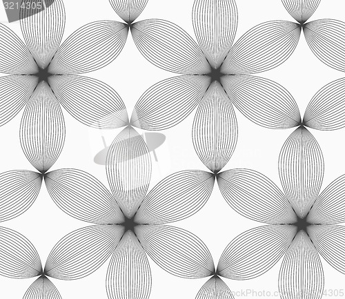 Image of Monochrome gray striped six pedal flowers