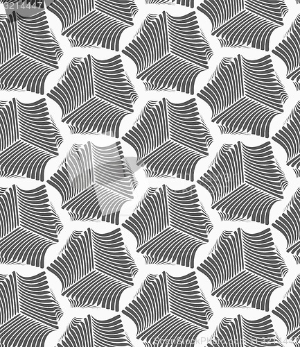 Image of Monochrome striped sea shells