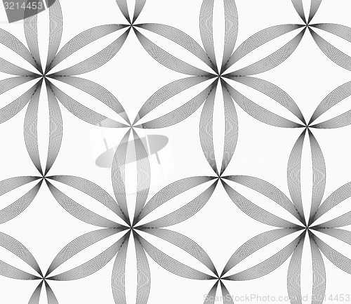 Image of Monochrome slim gray striped six pedal flowers