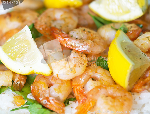 Image of shrimps