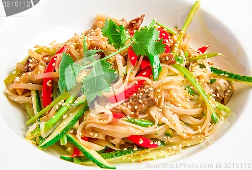 Image of Pan-Asian rice noodles with beef, vegetables, bean sprouts in a sweet and sour sauce