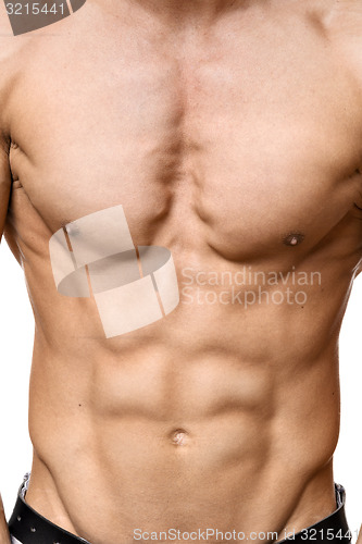 Image of Abdominal muscle of young man