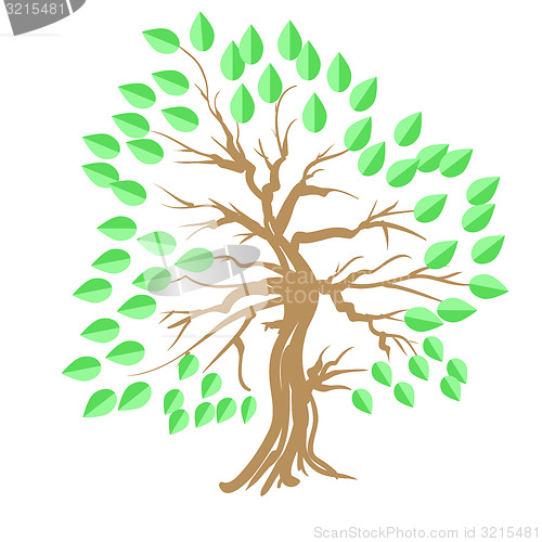 Image of Green Tree 