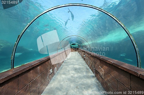 Image of Aquarium Tunnel