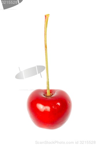 Image of Cherry