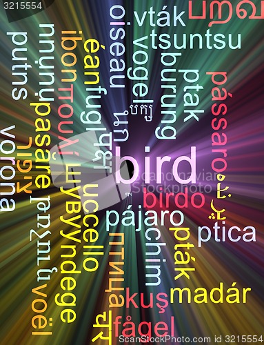 Image of Bird multilanguage wordcloud background concept glowing